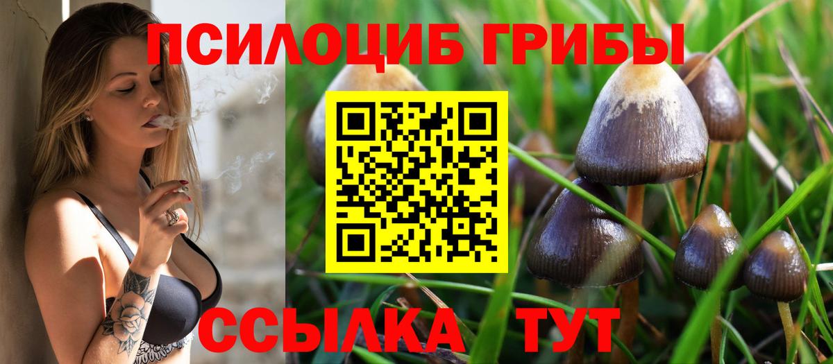Псилоцибиновые грибы GOLDEN TEACHER  где купить   Бузулук  Вход с VPN 